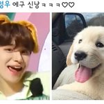 [NCT정우] 진짜 힐링 <b>해시</b>태그