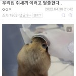 [댓글부탁해] 얘들아 추반해주면 <b>오만</b>원주움 ㅈㅂ