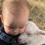 작고 <b>소</b>듕한 러블리 <b>아기</b> 염소