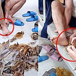 <b>맨발</b>로 오징어 눌러 밟아 비위생 논란