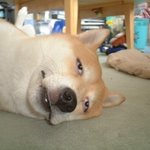 골라줘ㅈㅂ얘들아너네라면어디가<b>최선임</b>???