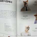 <b>결혼식때</b> 뭐 입고 가징