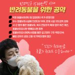 <b>애완</b>동물을 위한 공약 어떰?
