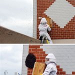 부산 주택가 수십만 마리 벌떼 <b>소동</b>