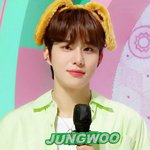 [NCT정우] 정우 <b>강아지귀</b> 또 하려나?