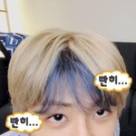 [NCT드림] 그니까 지금 다들