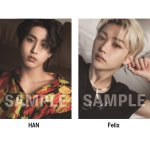 [스키즈] 캔캠이랑 미니랑은 다른 거지???