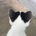[댓글부탁해] 동아리 언니 뭐라고 대답해야돼ㅠㅠㅠㅠ?