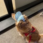 [이것좀봐줘] 우리집 <b>절미</b> 자랑좀 할래