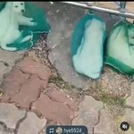 [이것좀봐줘] 강아지 세마리를 양파망에 넣어 양파망 묶어둔 동물...