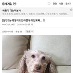 [댓글부탁해] 니네 웃음<b>지뢰</b> 좀 알려줘