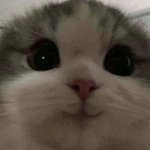 [댓글부탁해] <b>체육</b>쌤으로 진로 돌리기 넘 늦음 ㅠㅠㅠ?