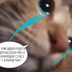 [댓글부탁해] 가슴 작은 애들아...