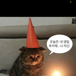 [댓글부탁해] <b>닥스</b>2 있잖아 ㅠㅠ