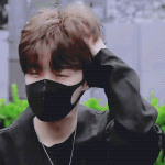 [방탄소년단] 호비시