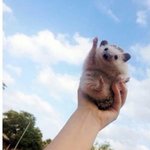 너네는 인생 <b>만족도</b> 얼마정도임?