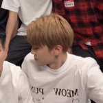 [NCT드림] 아 재민이 티셔츠 냥냥판치