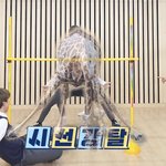 [군대] <b>시선</b>강탈