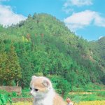 [댓글부탁해] <b>청량</b>하고 밝은 남자 제이팝 추천좀