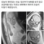 엥 이거 찐<b>이야</b>?????????