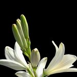 [댓글부탁해] 얘들아 신나는 축제같은 <b>팝송</b> 추천해주라