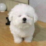 화장 안뜨는 법을 알아낸 것 같애