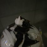 우리집앞 컴포즈 <b>휘</b><b>핑</b> 미쳤다