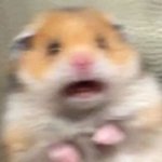 [NCT드림] 잼런,,, 어질어질 <b>두통</b> ,,,하….