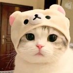 엣<b>티제</b>는 왜 욕먹는 거냐