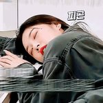 <b>리정</b> 존귀