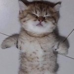 [NCT드림] 올드스쿨 쳐돌이 김준표  <b>자택</b>서 기절