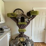 금<b>손들</b>의 창의적 작품들