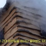 유난히 내성적인 김태리 근황