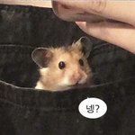 [댓글부탁해] <b>전학</b> 가는데