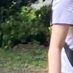 내 손 <b>핏줄</b> 쎅시하지
