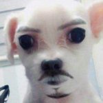 [댓글부탁해] 인간관계 개빡치는데 어캄