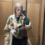 로제 <b>행크</b>