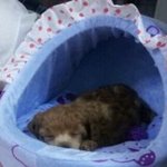 우리 애기 온시절도 <b>이때쯤</b>이구나, 천사같당