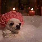 [NCT칠프] 정우야 <b>개운</b>하게 했니?