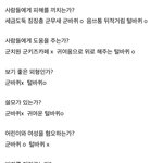 [19] 군<b>바퀴</b> vs <b>털바퀴</b>