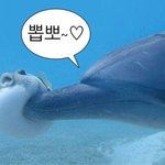 <b>자존</b>감도 너무 올리려하면 안되는듯