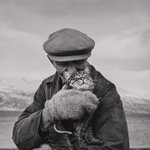 과거 사진 속 빈티지 <b>야옹이들</b>