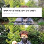 [드루와] 연예인 발언이 옳고그름 이전에, 길고양이는 유해조수가...