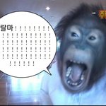 [ㅈㄱㄴ] 하... 방금 짬만튀 당함