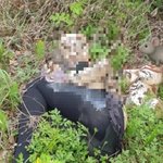 저수지서 여성 <b>시체</b>가...자세히 보니 버려진 리얼돌