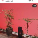 <b>개업</b>선물로 어떤지 봐주세요~