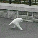 [ㅠㅠ] 나 강아지 버리고 <b>도망</b>침