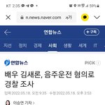 김새론 음주운전 혐의 기사 댓글<b>현황</b>