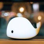 사귄지 2일만에 <b>포옹</b>이면