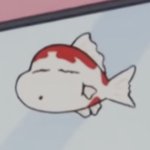 머리 밀까 말까